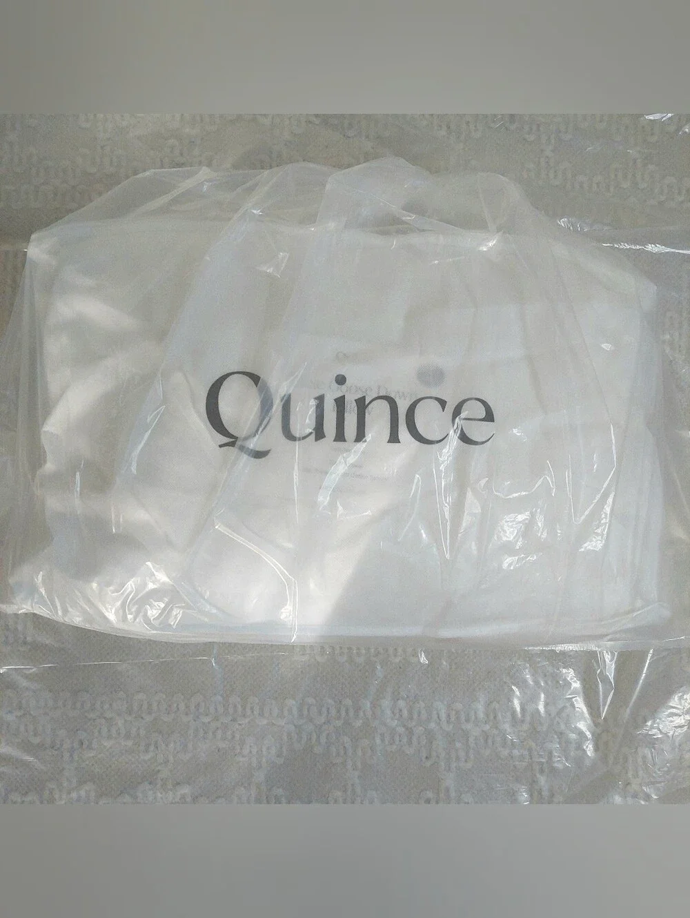 NWOT- Quince Standard White Goose Down Pillow ( Soft/ Medium)(P42)